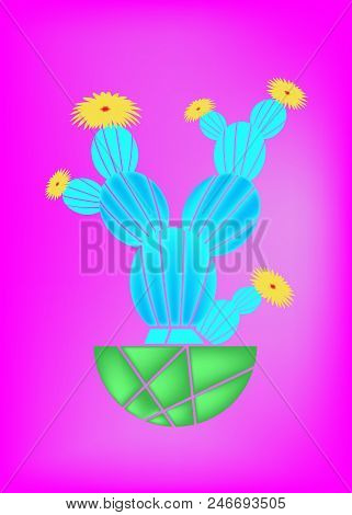 Cactus Fashion Set Design. Minimal Stillife. Trendy Bright Colors. Colorful Mood On Red Background. 
