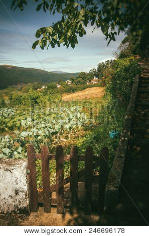 Farm life in rural landscape in the center of Portugal