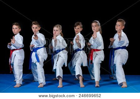 Young, Beautiful, Successful Multi Ethical Karate Kids In Karate Position