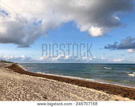 Storm Clouds And Seaweed On The Beach