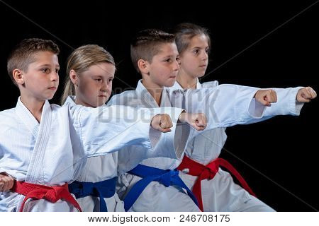 Young, Beautiful, Successful Multi Ethical Karate Kids In Karate Position
