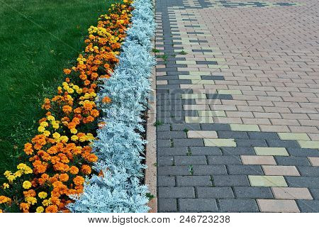 Paving Pattern With Rectangular Shape And Brown Color. Along Paved Walkways Planted Flowerbed With B