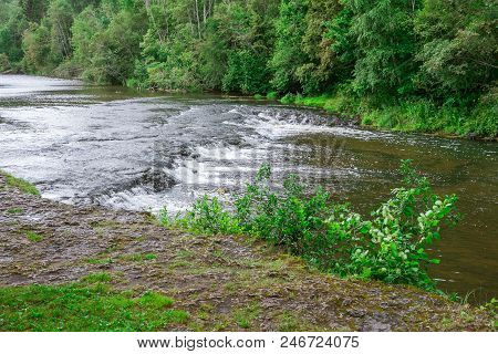Abava River At Early Morning Time In Kandava. 2017 Kandava