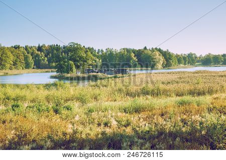 Sunny Morning In Latvian  Meadow. Travel Photo.