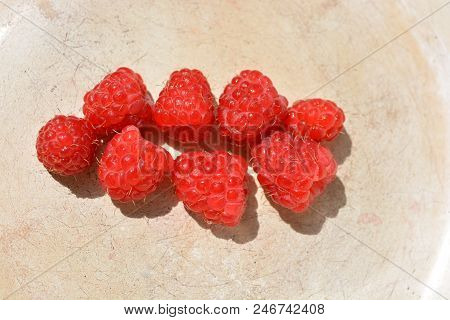 On A Metal Base Laid Eight Pieces Of Raspberry Fruit From The Village Washed Under The Water