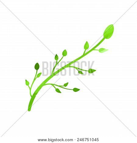 Vector Wateroclor Texture Green Plant, Floral Design Element.