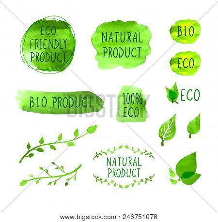 Vector Eco Icons, Watercolor Design Elements, Green Logo Set Isolated On White Background, Natural B