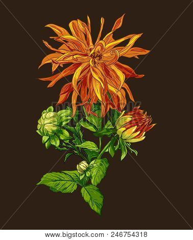 Collection Set Of Hand Drawn Flowers Line Art By Hand Drawing On Dark Background. Botanical Elements