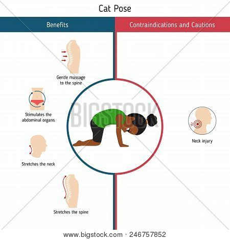 Infographics Of Yoga Pose