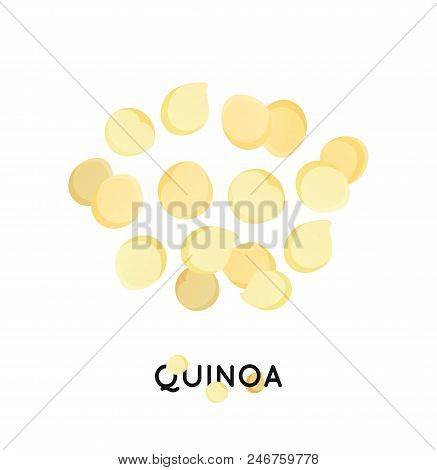 A Handful Of Quinoa Seed. Agro Culture Quinoa Seeds Icon. Cereals Quinoa Illustration.