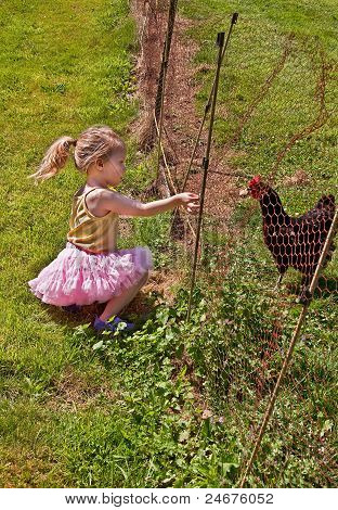 Tempo di alimentazione