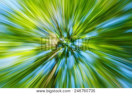 Abstract Green Background Of Tree In Countryside Outdoors. Zoom Speed Blured Motion. Created By Zoom