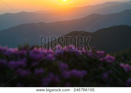 Sunrise In The Mountains With Blur Floral Pattern In The Foreground