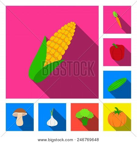 Different Kinds Of Vegetables Flat Icons In Set Collection For Design. Vegetables And Vitamins Vecto