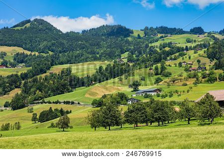 A Summertime View In The Swiss Canton Of Schwyz. The Picture Was Taken At The End Of June In The Reg