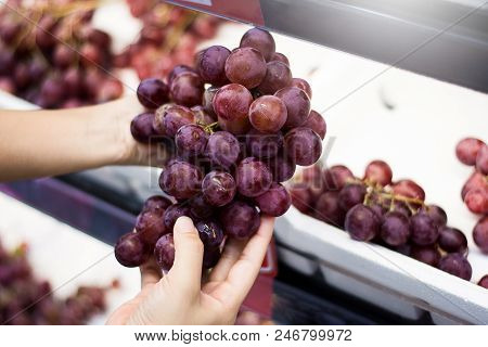 Woman Hand Hold Bunches Of Fresh Ripe Red Grapes In Grocery Store ,selective Focus .grape Background