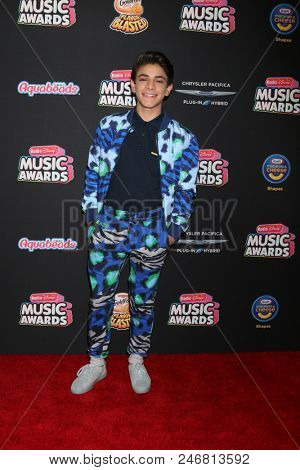 LOS ANGELES - JUN 22:  Brandon Rossel at the 2018 Radio Disney Music Awards at the Loews Hotel on June 22, 2018 in Los Angeles, CA