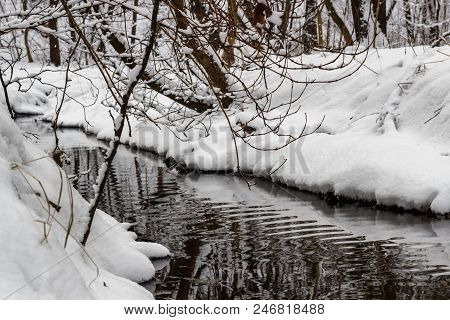 In The Winter Forest, The Winter River Runs.