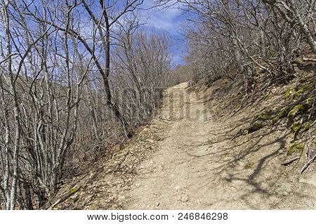 A Dirt Road On A Steep Slope. The Foot Of The Tokluk-syrt Mountain Ridge. Crimea, Spring, Early Apri