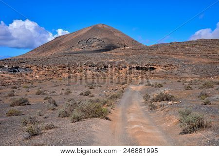 Spanish View Landscape In Lanzarote Tropical Volcanic Canary Islands Spain