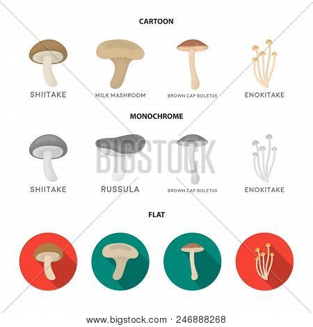 Shiitake, Brown Cap Boletus, Enokitake, Milk. Set Collection Icons In Cartoon, Flat, Monochrome Styl