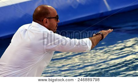 Budapest, Hungary - Jul 17, 2017. Ivica Tucak, Head Coach Of Croatia. Fina Waterpolo World Champions