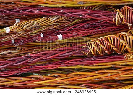 Czech Easter Pussywillow Twigs As Nice Holiday Background