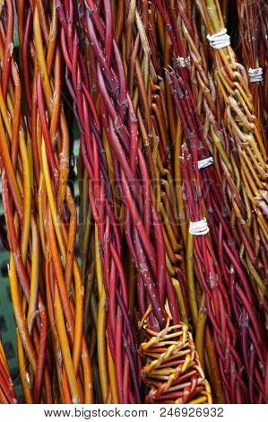 Czech Easter Pussywillow Twigs As Nice Holiday Background