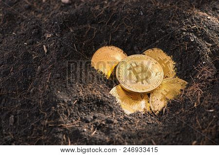 Mining Golden Bitcoins. Golden Etherium In A Man Hand, Digitall Symbol Of A New Virtual Currency