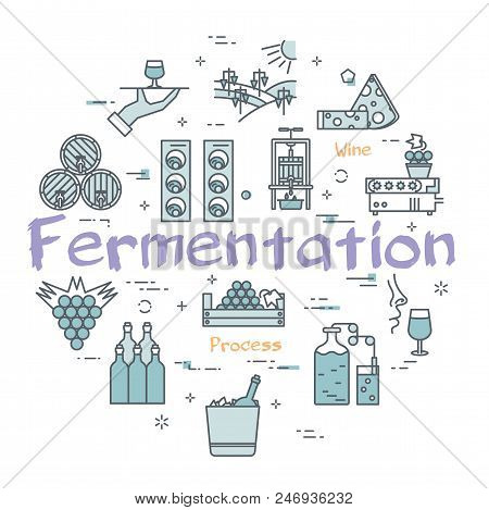 Colorful Icons For Vintage Industry Arranged In Circle On White And Showing Process Of Making Wine