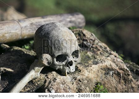 Human Skull And Bones Infront Of The Entry Of The Anciant Tomb, Sulavesi Island, Indonesia