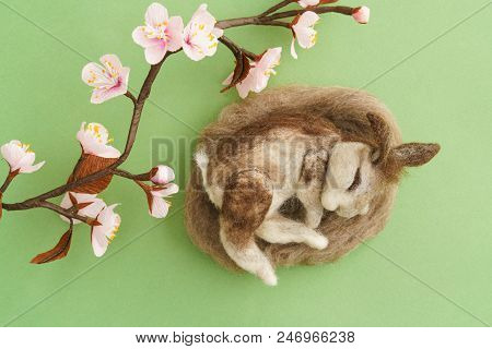 Needle Felted Wild Rabbit Sleeping Iin A Nest On Green Background With Crepe Paper Plum Blossom Twig