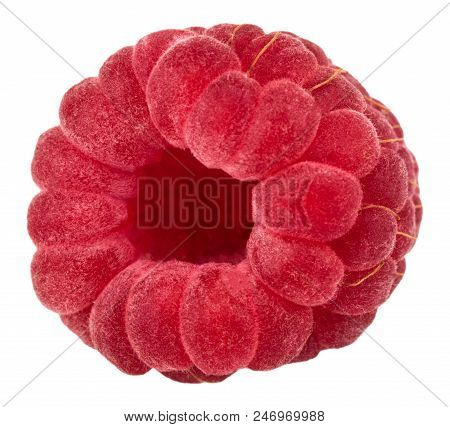 Isolated Berry. One Fresh Raspberry Fruit Isolated On White Background