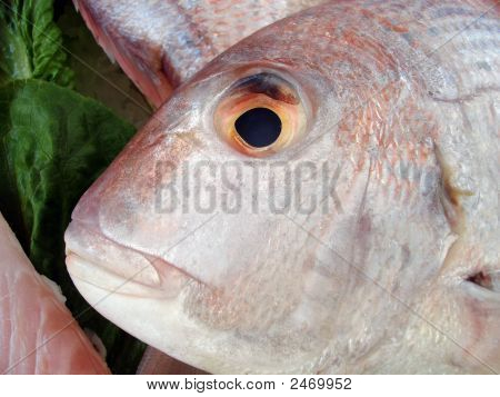 Ojo de pez