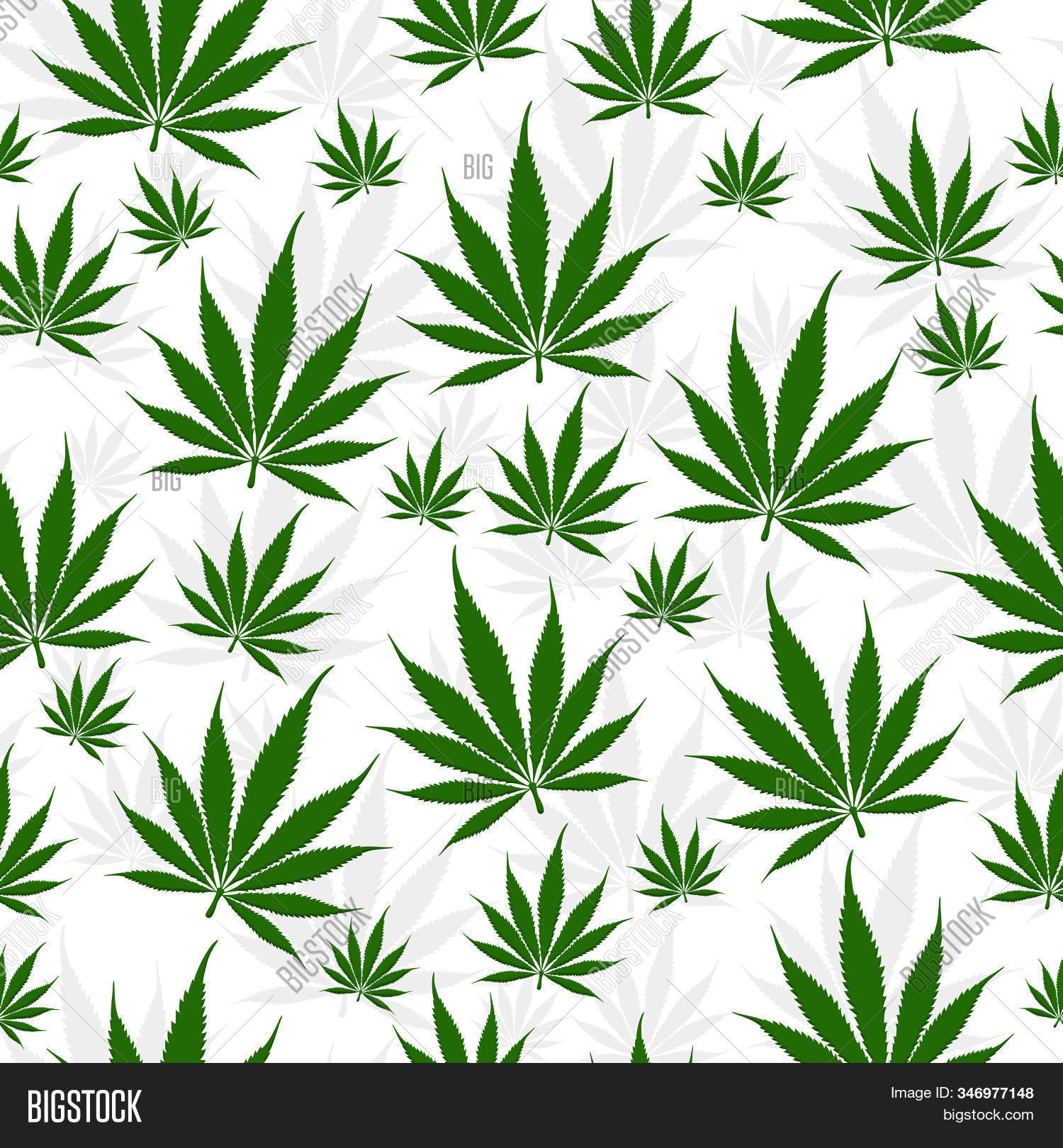 Marijuana Leaf Image Photo Free Trial Bigstock