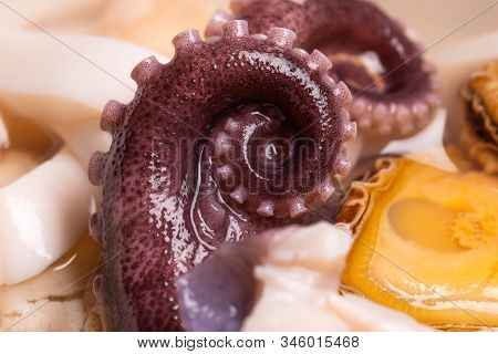 Wet Shiny Swirling Octopus Tentacles, Squids And Mussels Seafood In A Jar, Macro Shot