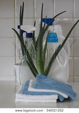 The Concept Of Eco-friendly Natural Detergents. Detergents And Cleaning Products With Aloe Vera Plan