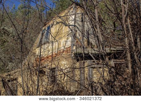 An Old Abandoned House In A Mountain Village Clad In Branches Of Wild Trees.the Village Of Smolichan