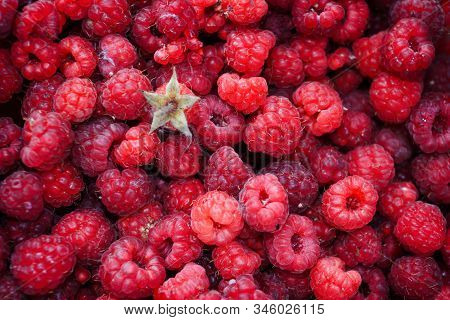 Ripe Berries Of Wild Forest Raspberries Close-up.