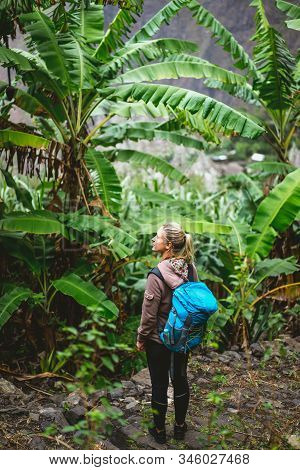 Blond Young Women With Blue Backpack Admire Banana Plantation On The Trekking Route To Paul Valley O