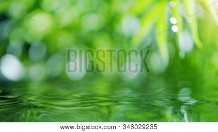 Abstract floral background with water surface, spa and wellness concept. Shot on super macro lens, low depth of focus. Free space for text.