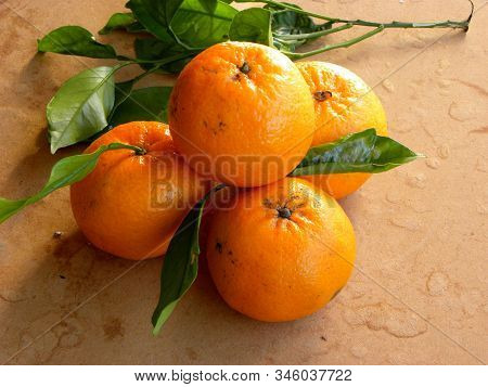 Fresh Tangerines On A Wooden Background Close-up