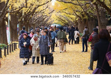 Tokyo, Japan - November 30, 2016: People Celebrate Ginkgo Avenue Autumn Foliage In Tokyo, Japan. Ich