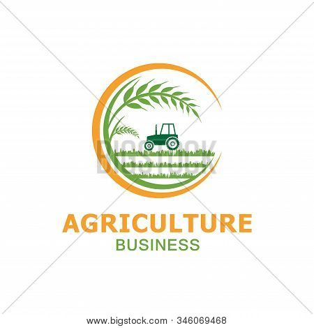 Vector Logo Design For Agriculture, Agronomy, Wheat Farm, Rural Country Farming Field, Natural Harve