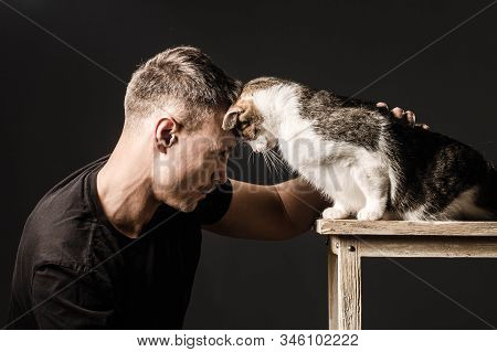 Bromance, Friendship, Man And Cat, Touched Their Foreheads