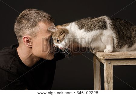 Bromance, Friendship, Man And Cat, Touched Their Foreheads