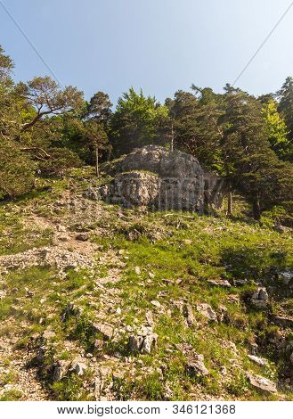 Mountain Scenery With Limestone Rocks, Grass And Trees Bellow Tlsta Hill In Velka Fatra Mountains In