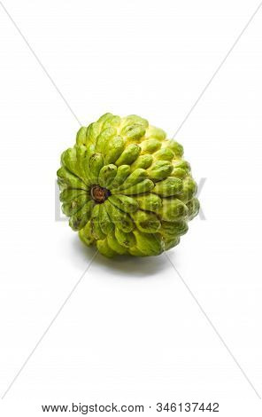 Sugar Apple Or Custard Apple Isolated On White Background