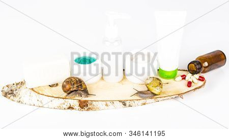 Cosmetics Organic Made With Slaver Of Snail, Very Good For Skin And Health And Fashion In Europe. Po
