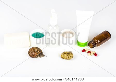 Cosmetics Organic Made With Slaver Of Snail, Very Good For Skin And Health And Fashion In Europe. Po
